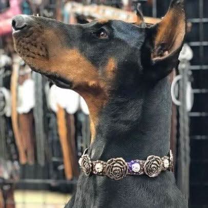 DC30 Copper Rose Dog Collar With Clear European Crystals