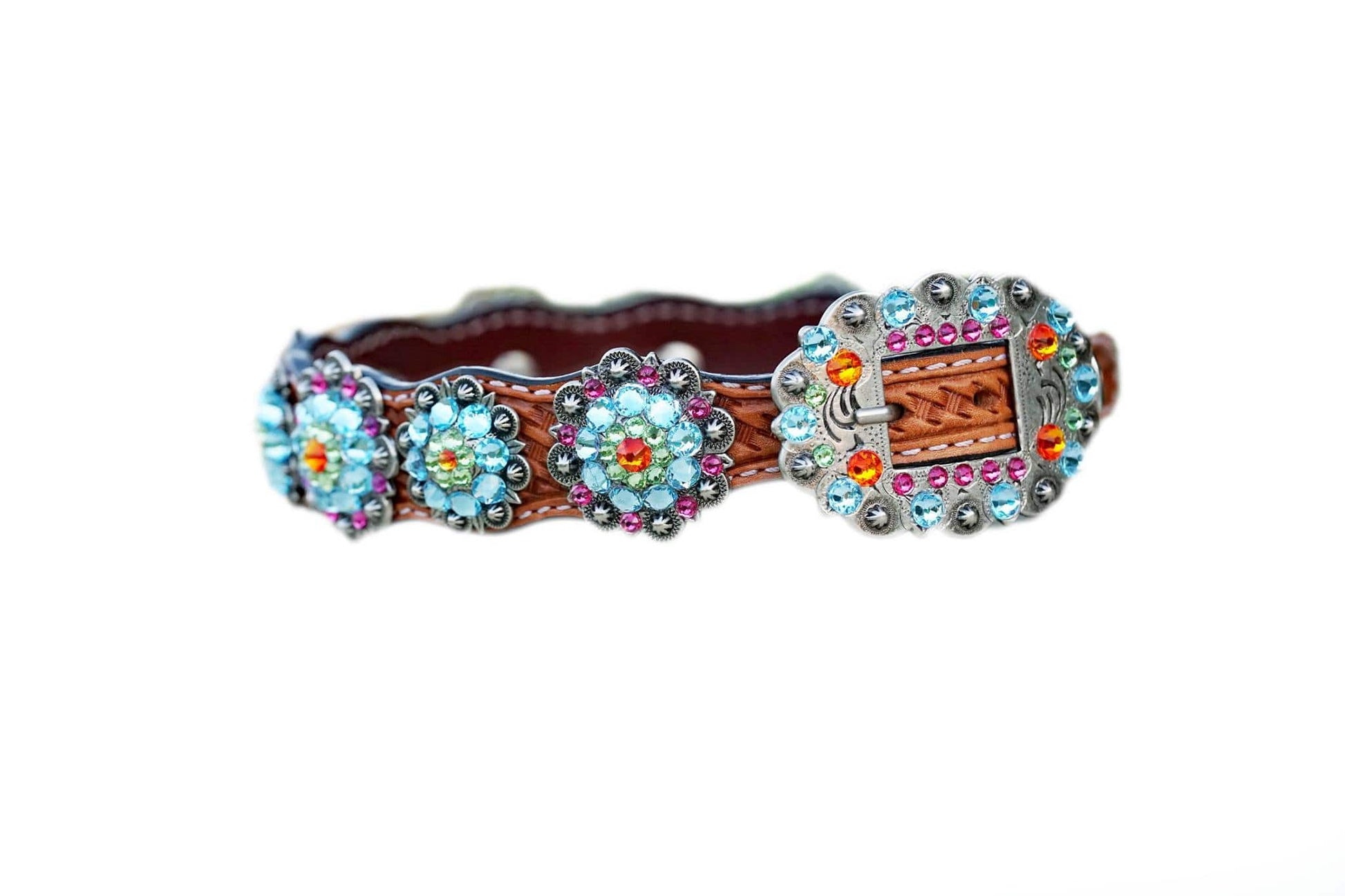 Rainbow Bridge Dog Collar