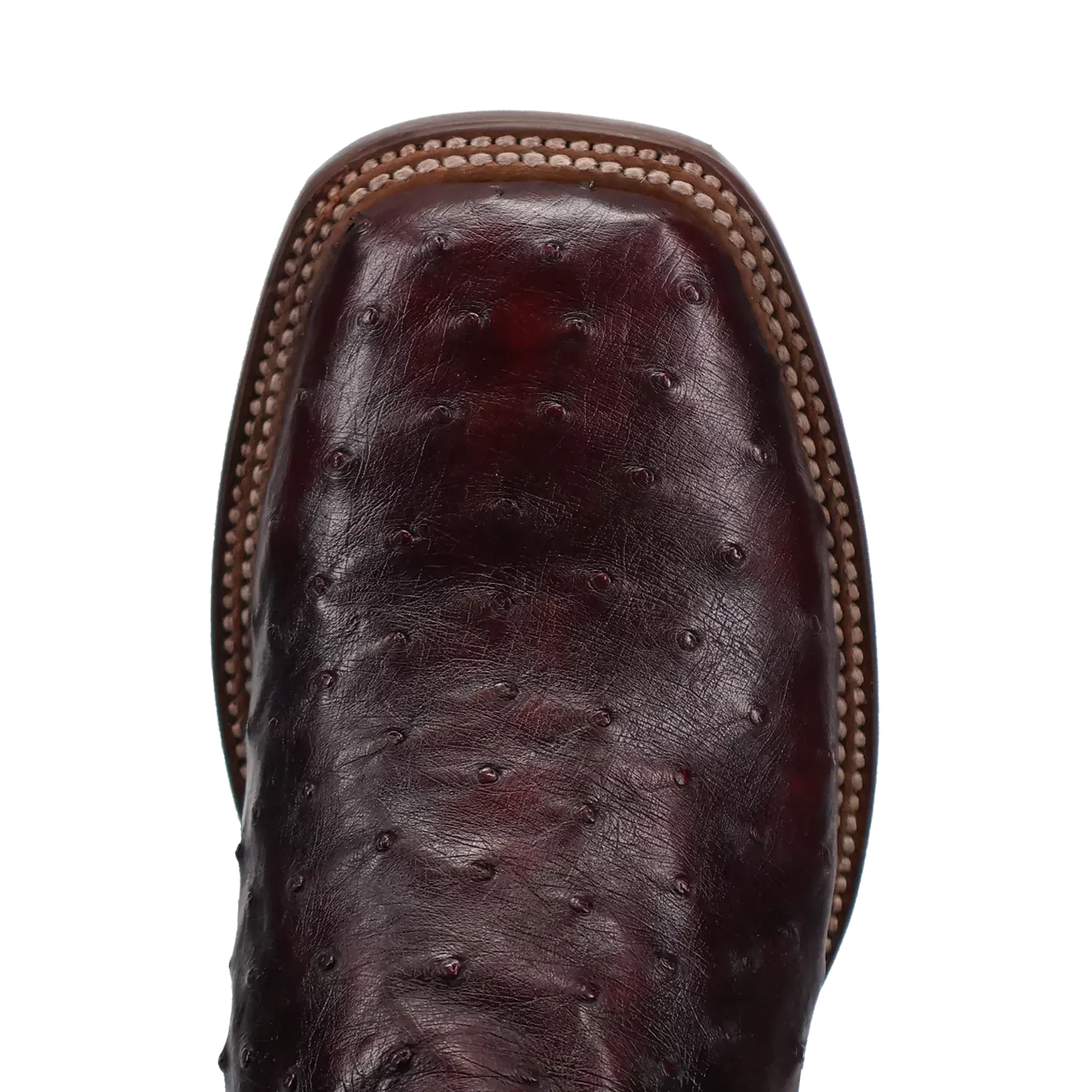Dan Post Alamosa (Black Cherry)  - Men's Ostrich Skin Leather Cowboy Boots
