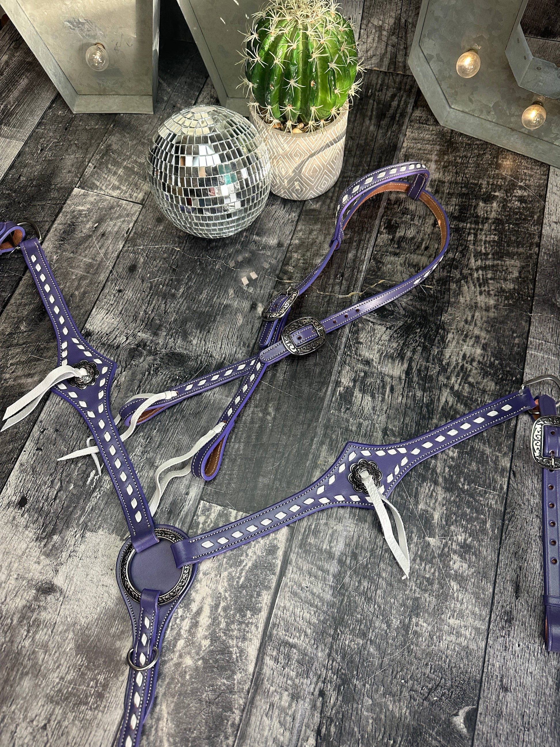 Buckstitchin’ Beauty Purple Tack Set