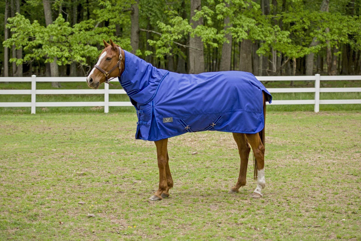 TuffRider 1680 D Super Comfy Winter Ripstop Turnout Blanket Heavy Weight 350 GSM Detachable Neck