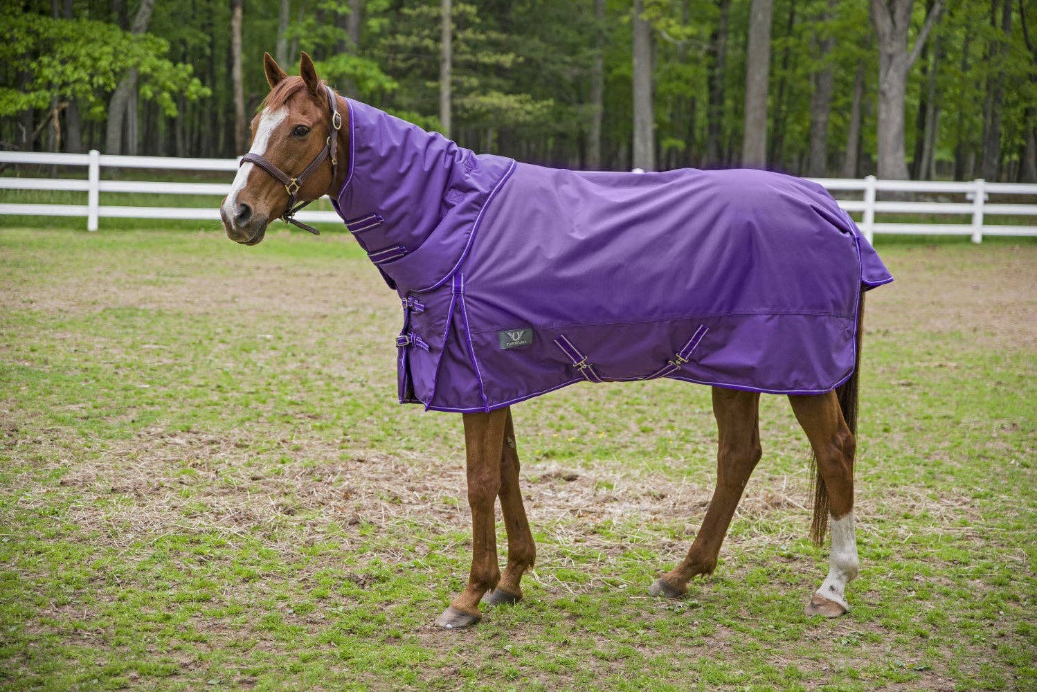 TuffRider 1680 D Super Comfy Winter Ripstop Turnout Blanket Heavy Weight 350 GSM Detachable Neck