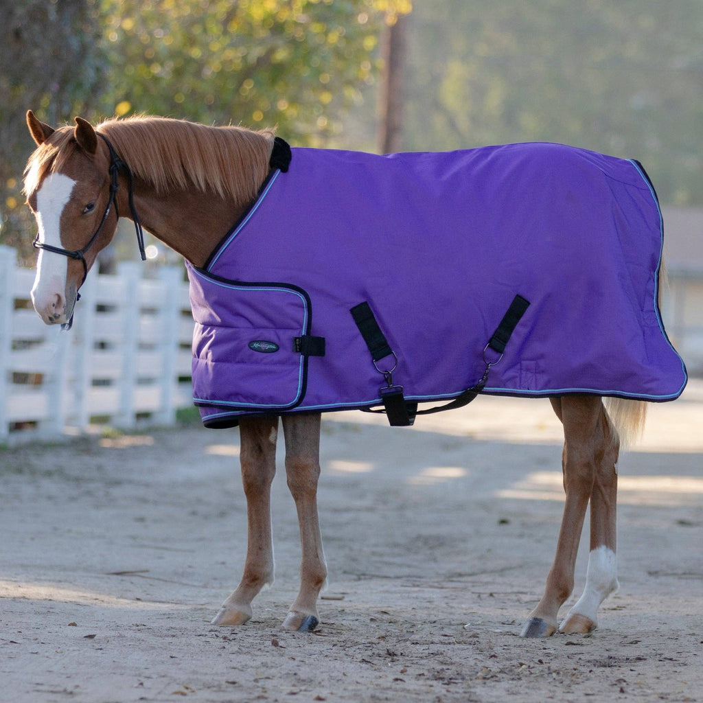 1200Denier Adjustable Weanling "180G" Medium Weight Waterproof & Breathable Winter Turnout