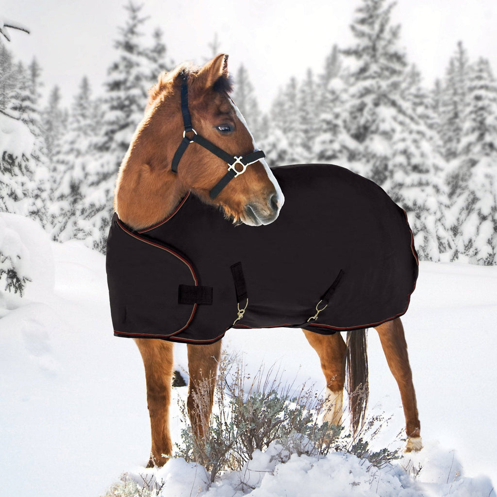 1200Denier Adjustable Weanling "180G" Medium Weight Waterproof & Breathable Winter Turnout