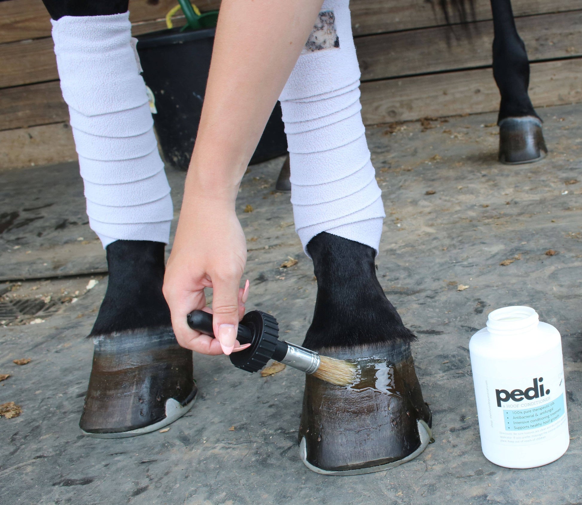 Pedi. A Hoof Conditioner (half pint/pint)