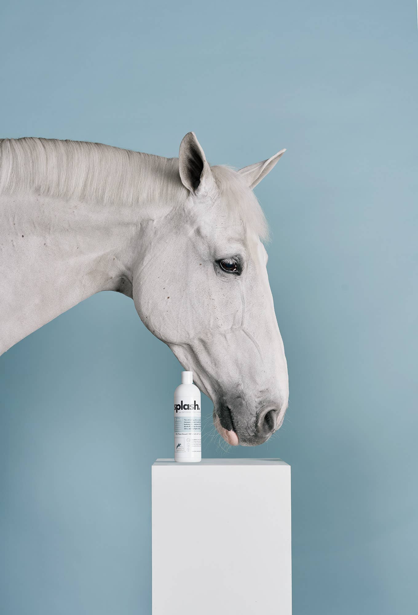 NEW! Splash. An Intensifying Shampoo.