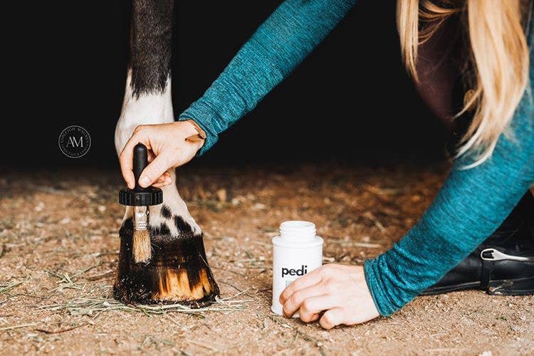 Pedi. A Hoof Conditioner (half pint/pint)