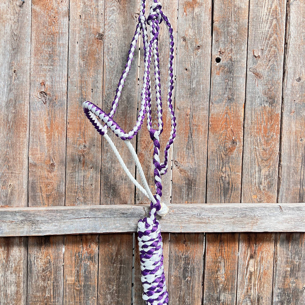Purple and White Mule Tape with Lariat Noseband Halter