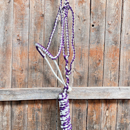 Purple and White Mule Tape with Lariat Noseband Halter