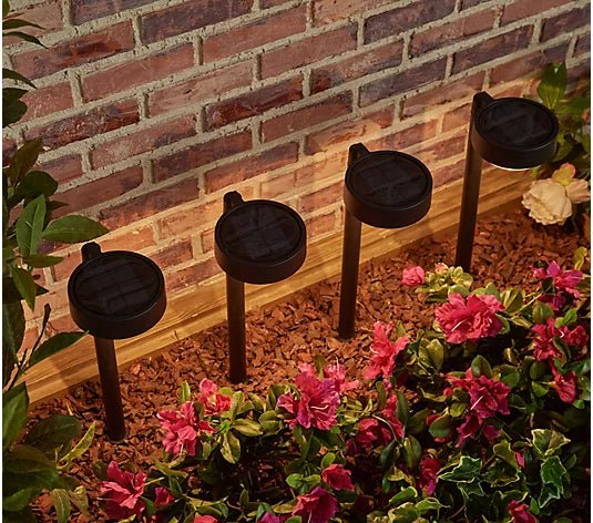 Energizer 20 Lumen Set of 4 Down light Aluminum Solar Pathway Lights