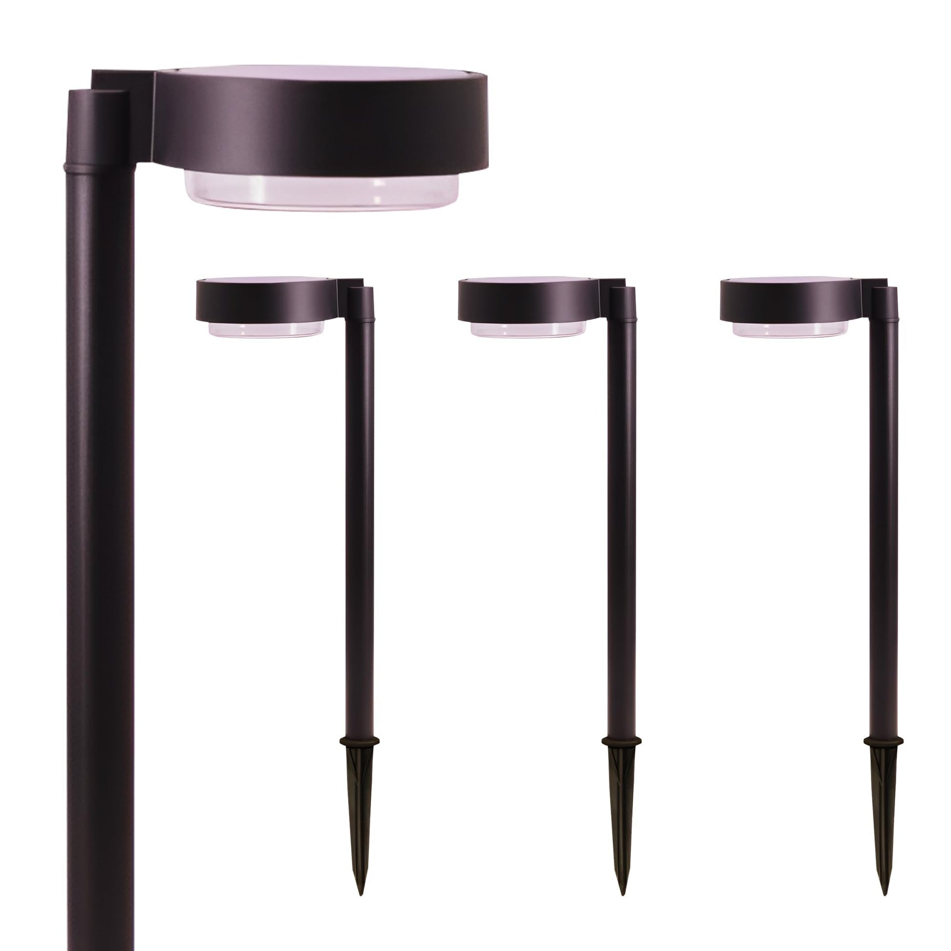 Energizer 20 Lumen Set of 4 Down light Aluminum Solar Pathway Lights