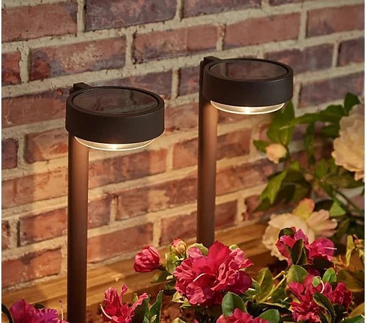 Energizer 20 Lumen Set of 4 Down light Aluminum Solar Pathway Lights