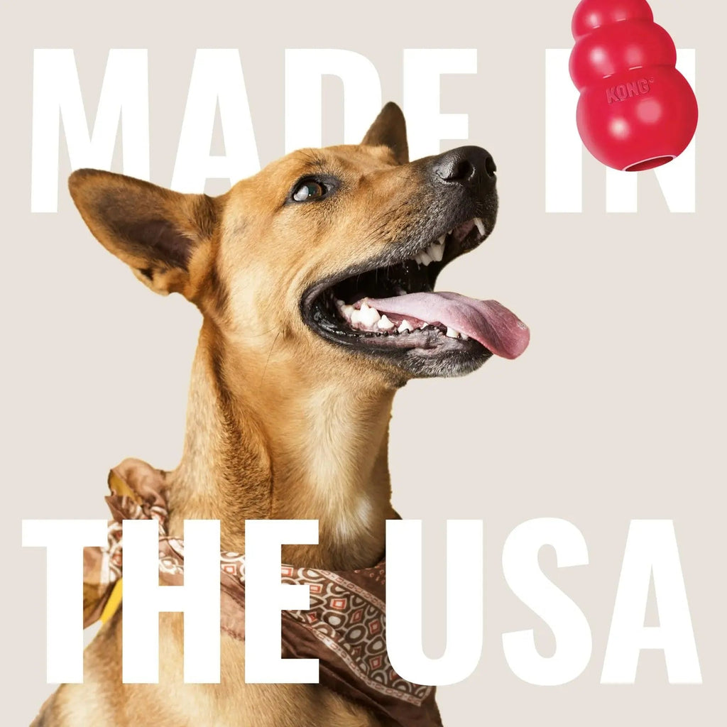 KONG - Tug - Durable Stretchy Rubber, Tug of War Dog Toy - for Medium Dogs