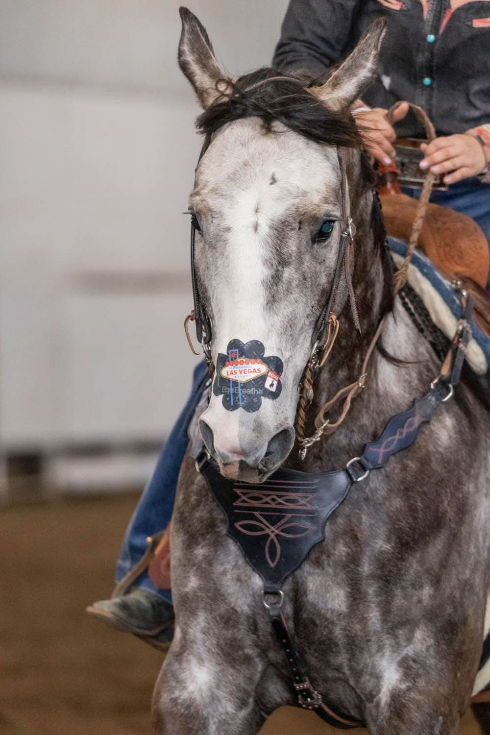 EquiBreathe™ Equine Nasal Patch - Vegas