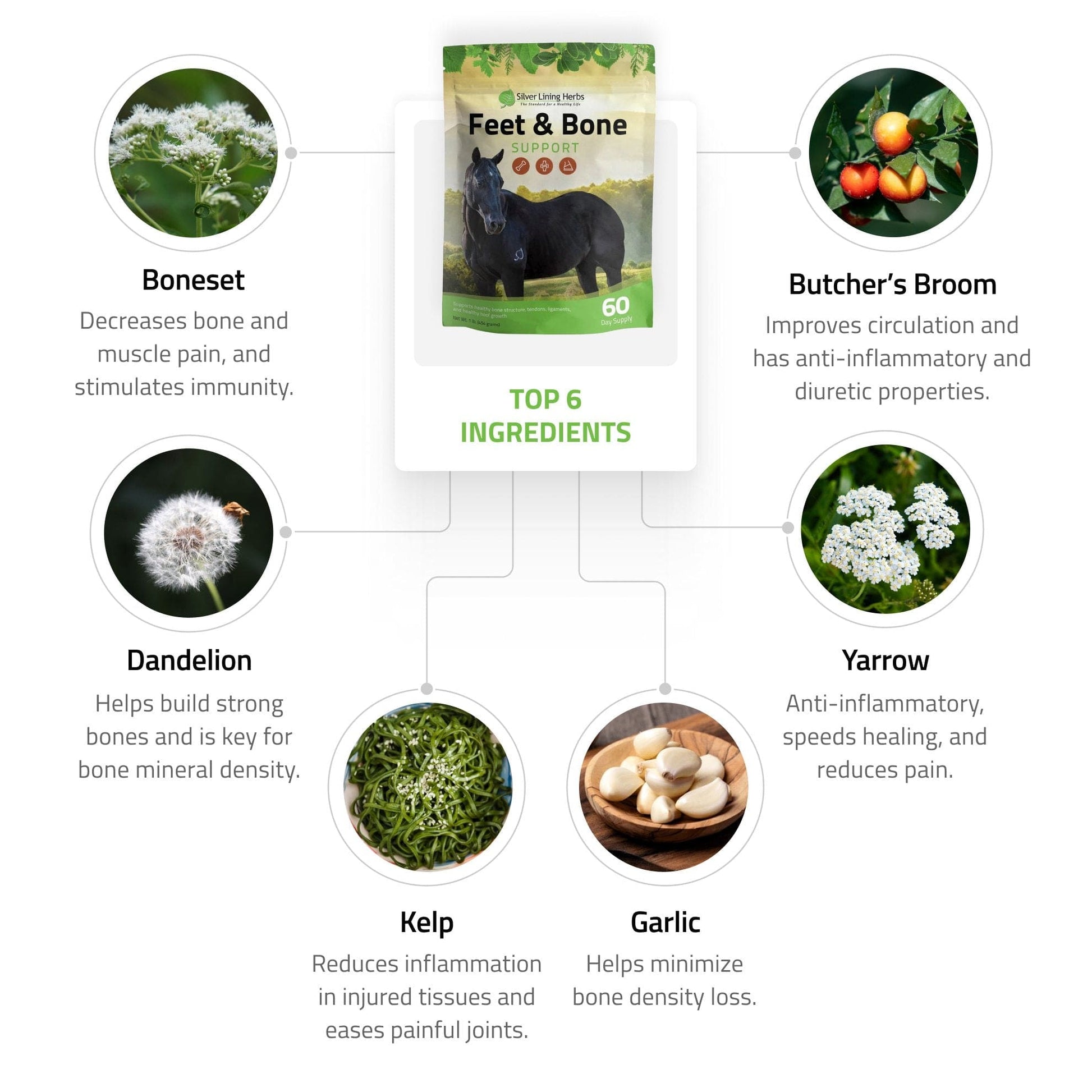 Feet & Bone Support for Horses