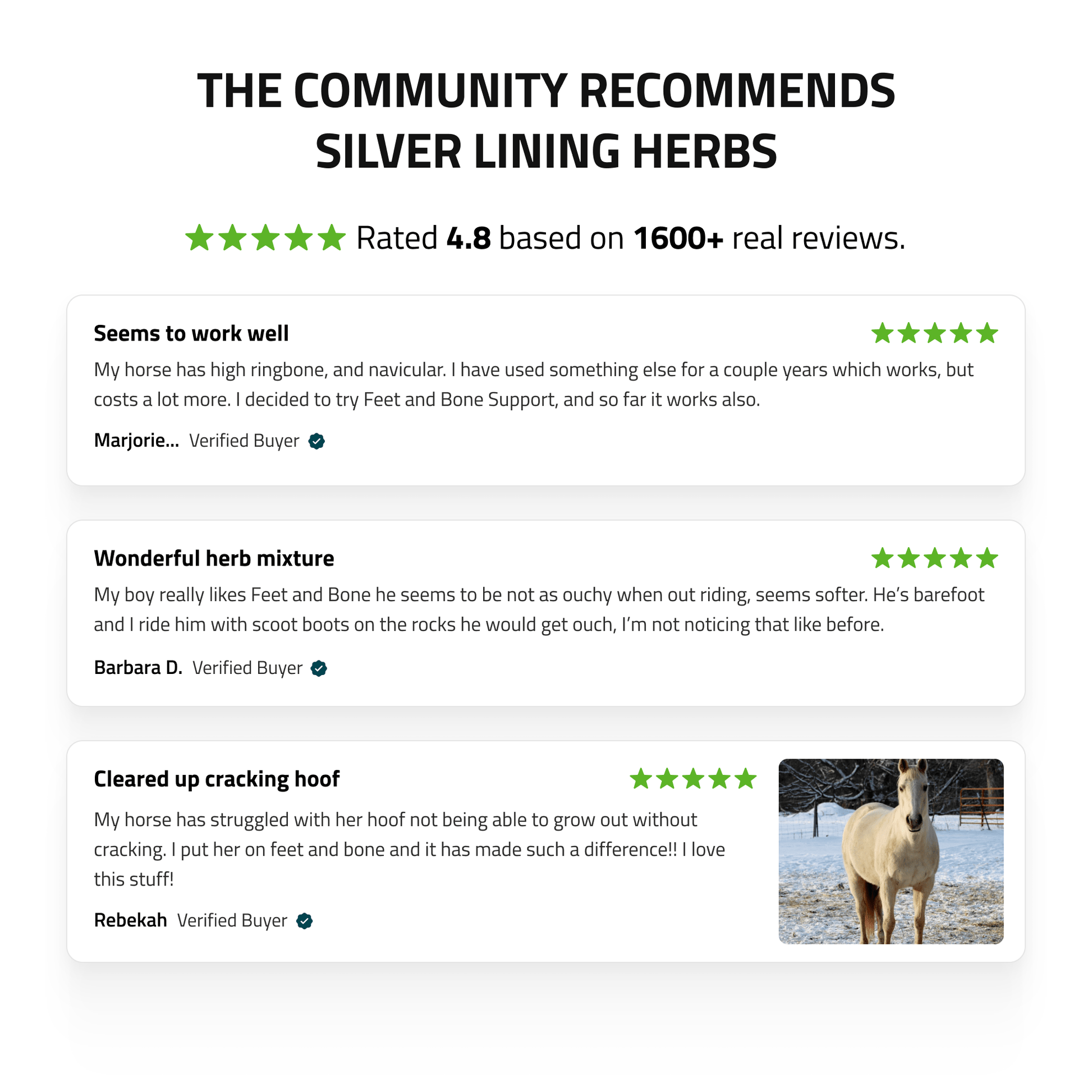 Feet & Bone Support for Horses