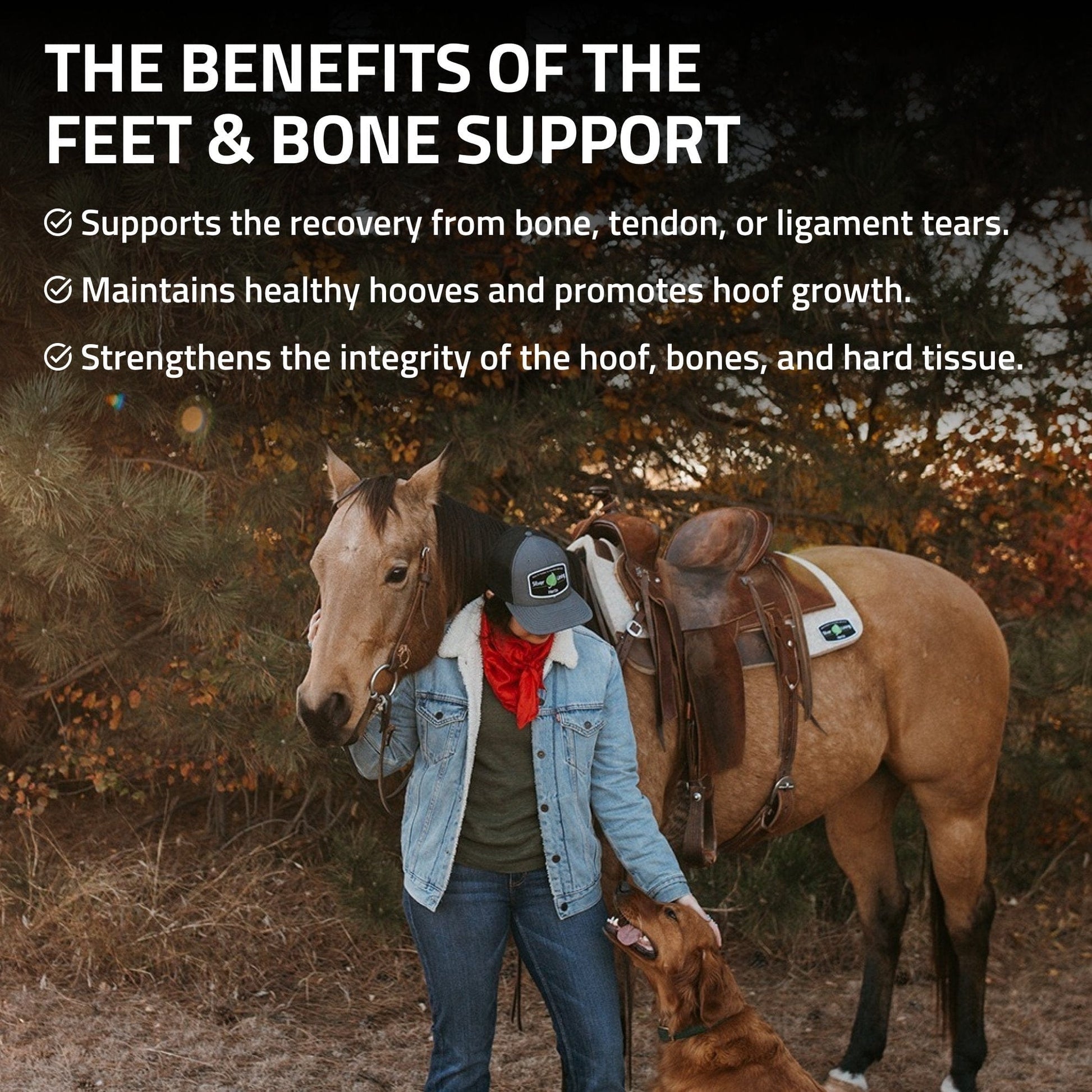 Feet & Bone Support for Horses