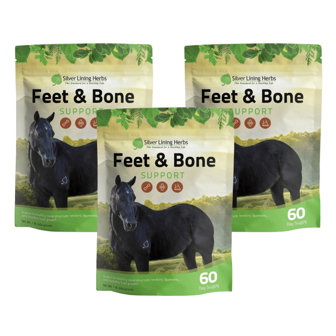 Feet & Bone Support for Horses