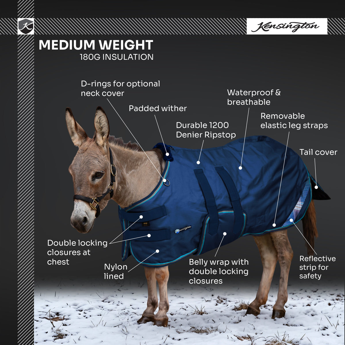 New 1200D Mini Donkey 180G Medium Weight Winter Turnout Blanket - Waterproof & Breathable