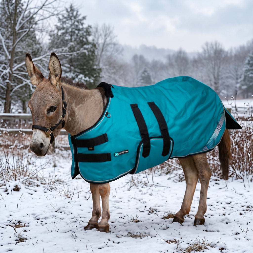 New 1200D Mini Donkey 80G Light Weight Winter Turnout Blanket - Waterproof & Breathable