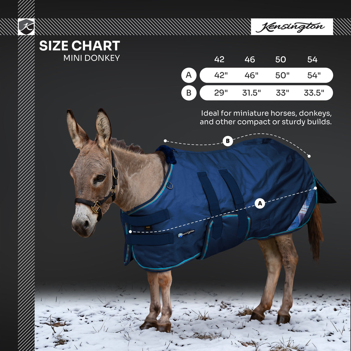 New 1200D Mini Donkey 180G Medium Weight Winter Turnout Blanket - Waterproof & Breathable