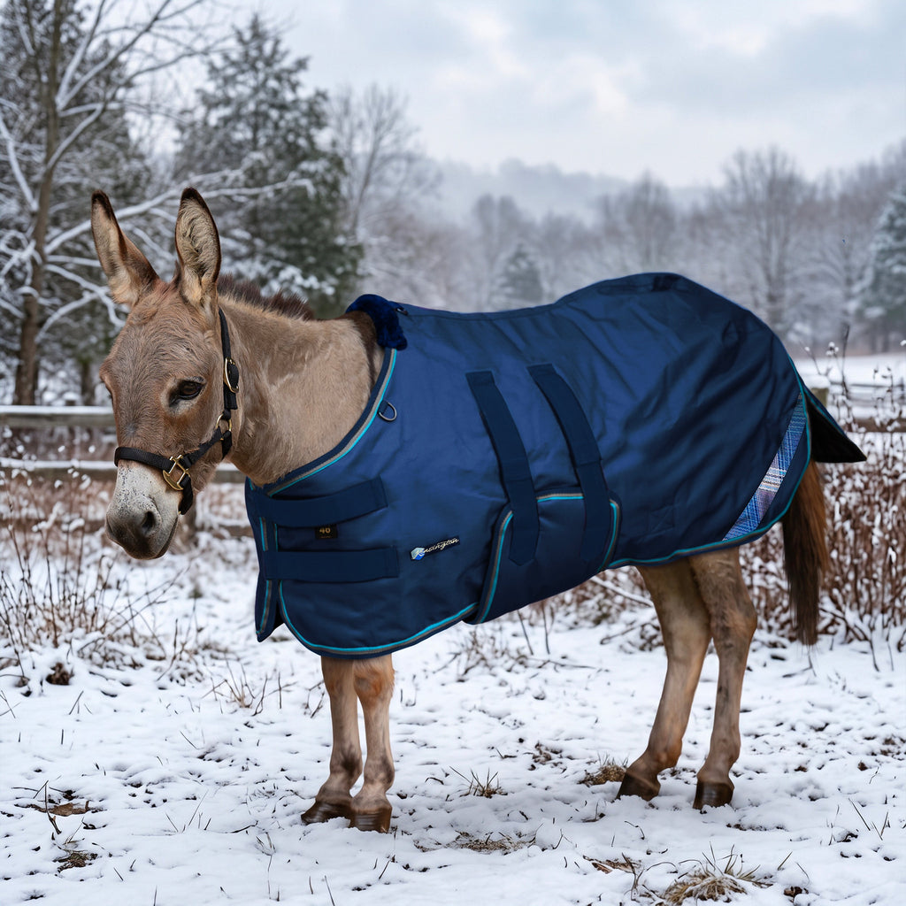 New 1200D Mini Donkey 180G Medium Weight Winter Turnout Blanket - Waterproof & Breathable