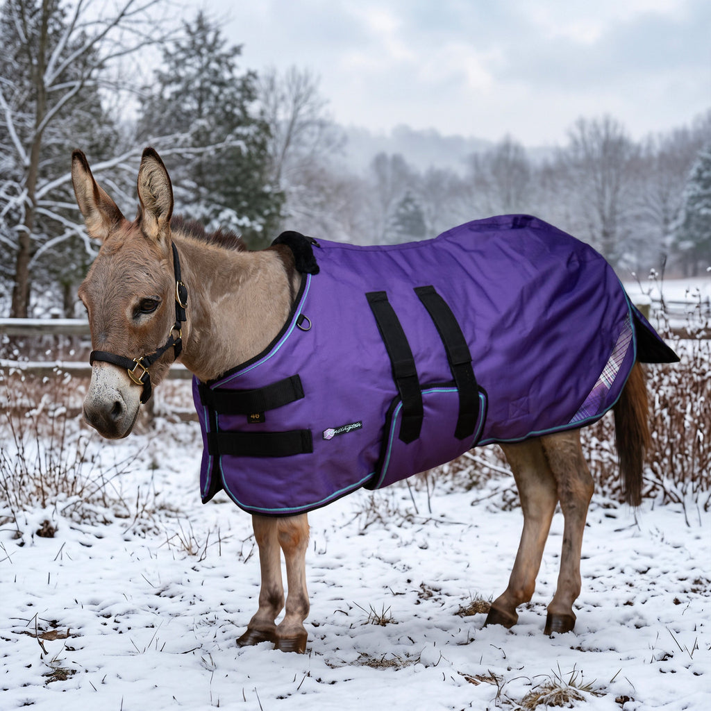 New 1200D Mini Donkey 80G Light Weight Winter Turnout Blanket - Waterproof & Breathable