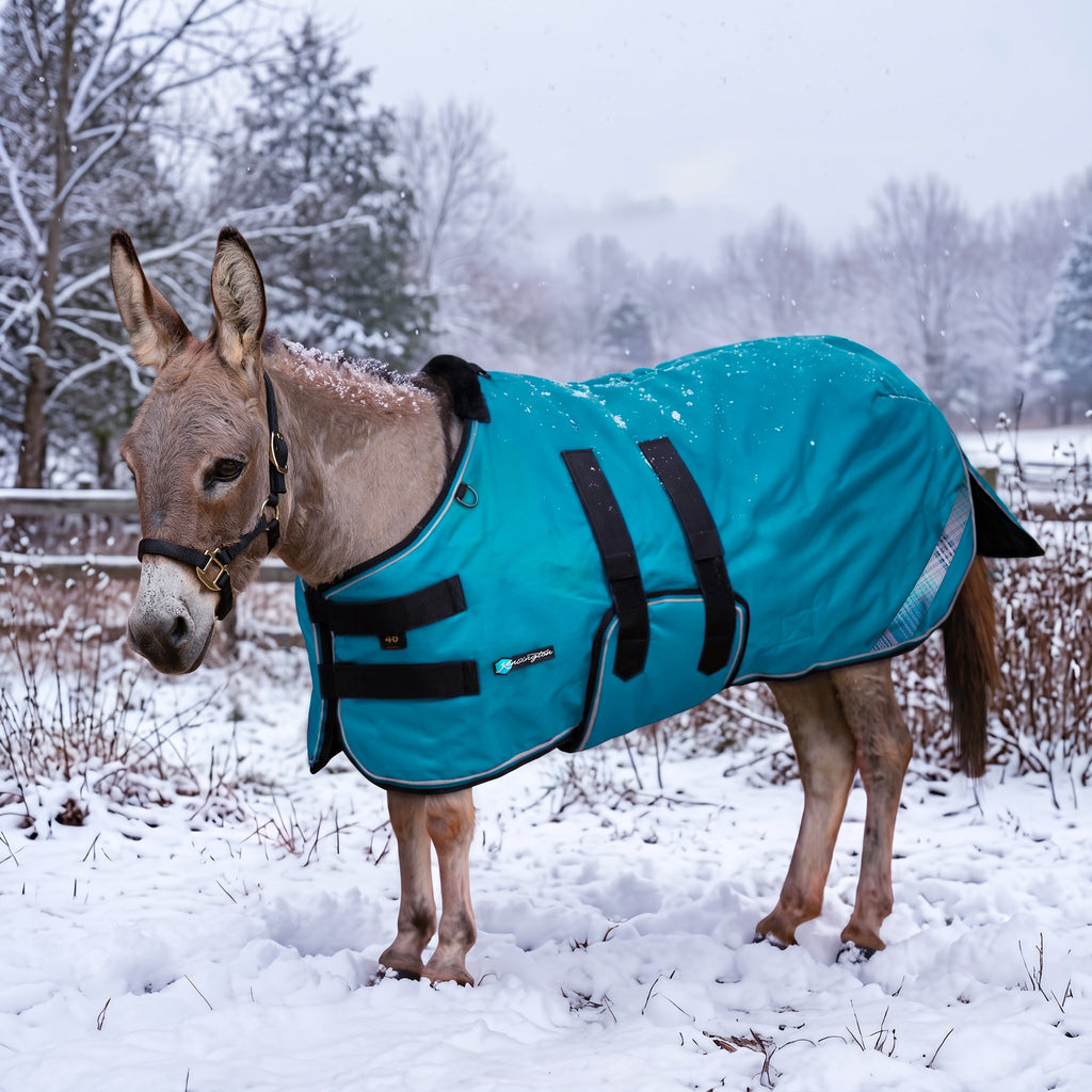 New 1200D Mini Donkey 300G Heavy Weight Winter Turnout Blanket - Waterproof & Breathable