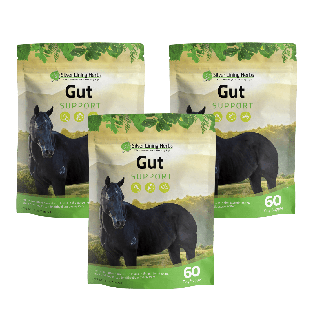 Gut Support for Horses