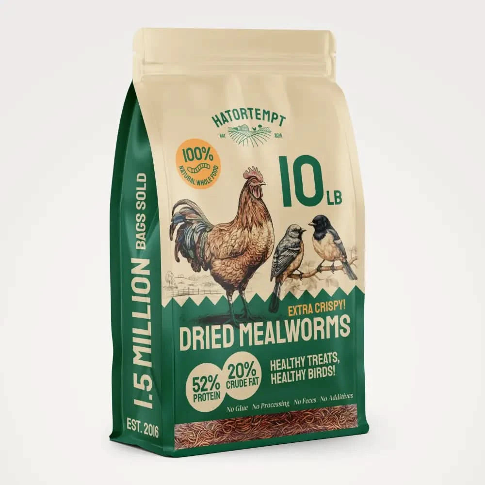 Dried Mealworms For Chickens