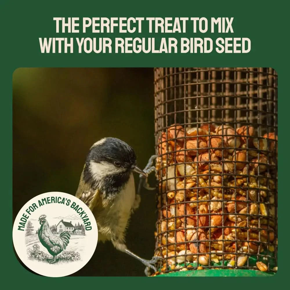 Dried Mealworms For Chickens