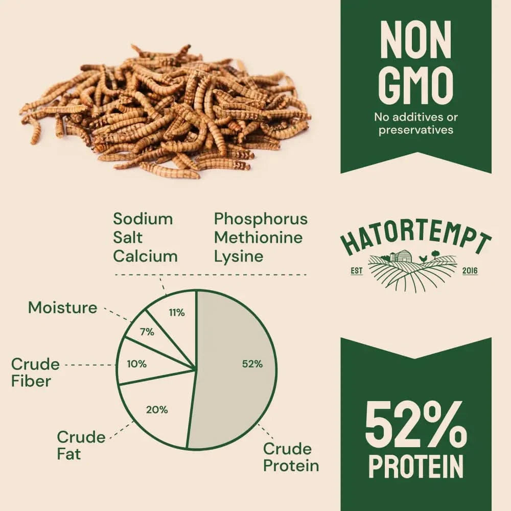 Dried Mealworms For Chickens