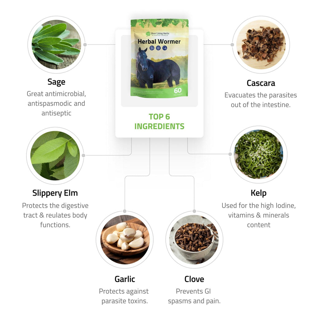 Herbal Wormer for Horses