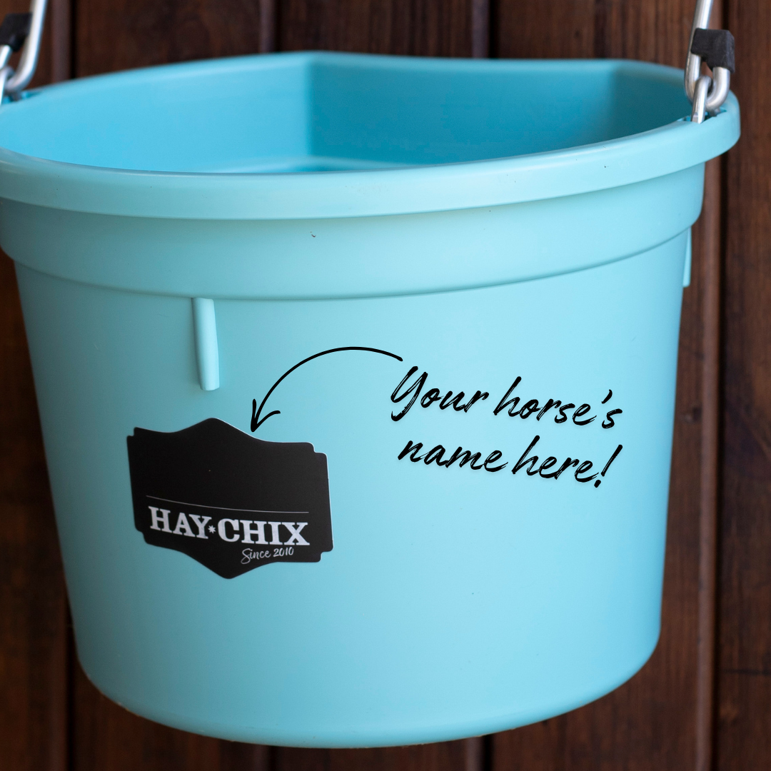The Hay Chix® Favorite Bucket