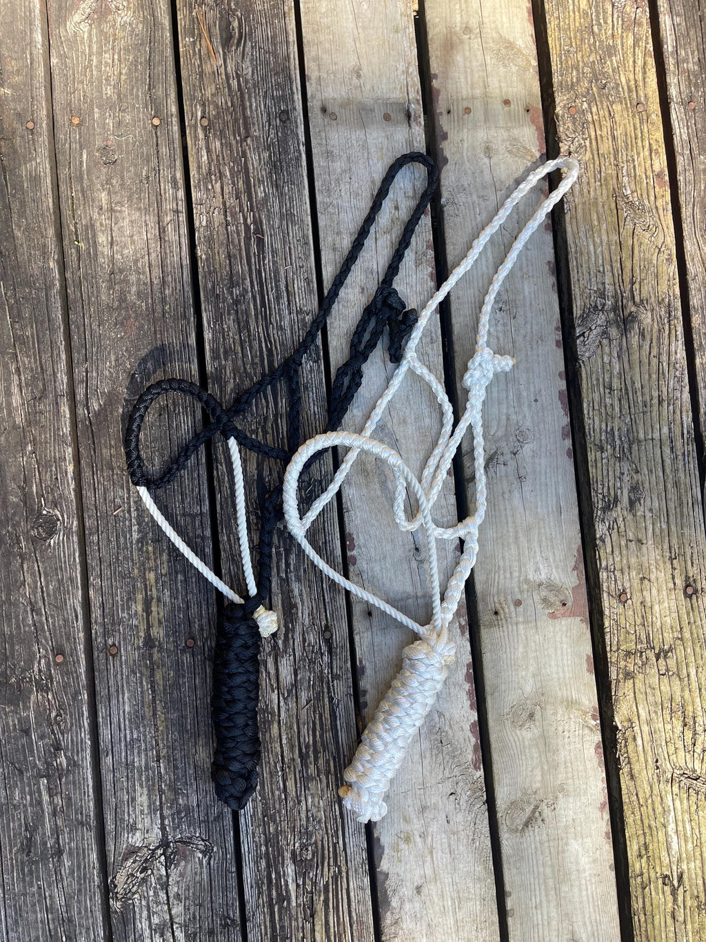 Mule tape halter| Braided lariat western