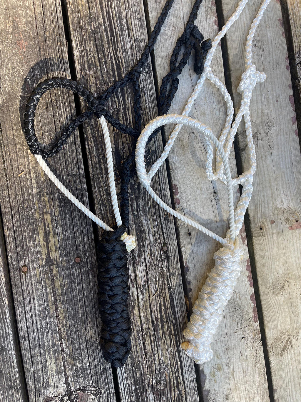 Mule tape halter| Braided lariat western