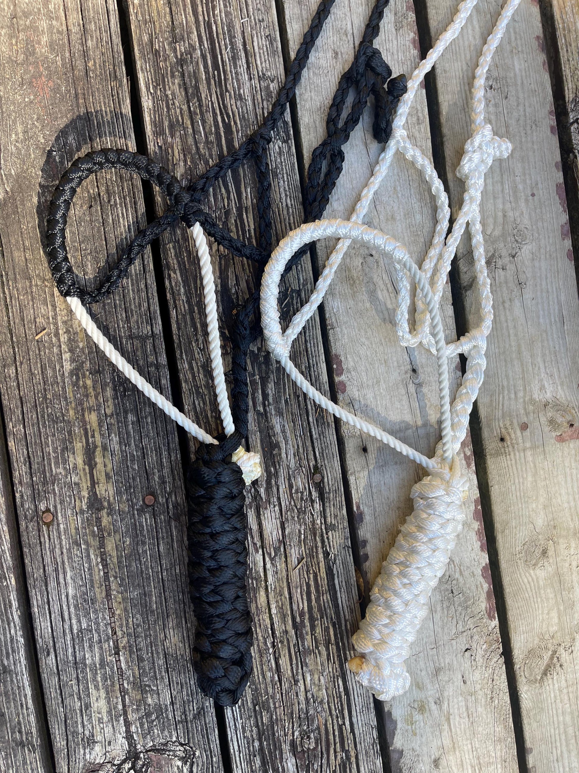 Mule tape halter| Braided lariat western