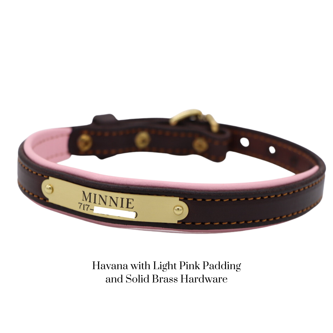 Padded Dog Collar