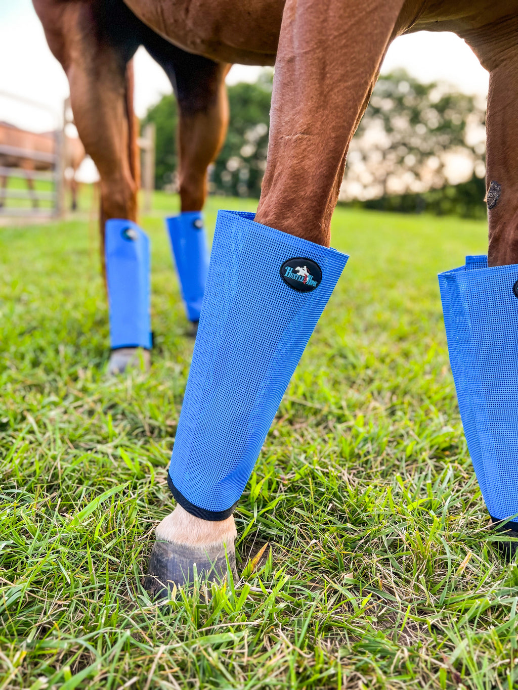 Fly Boots