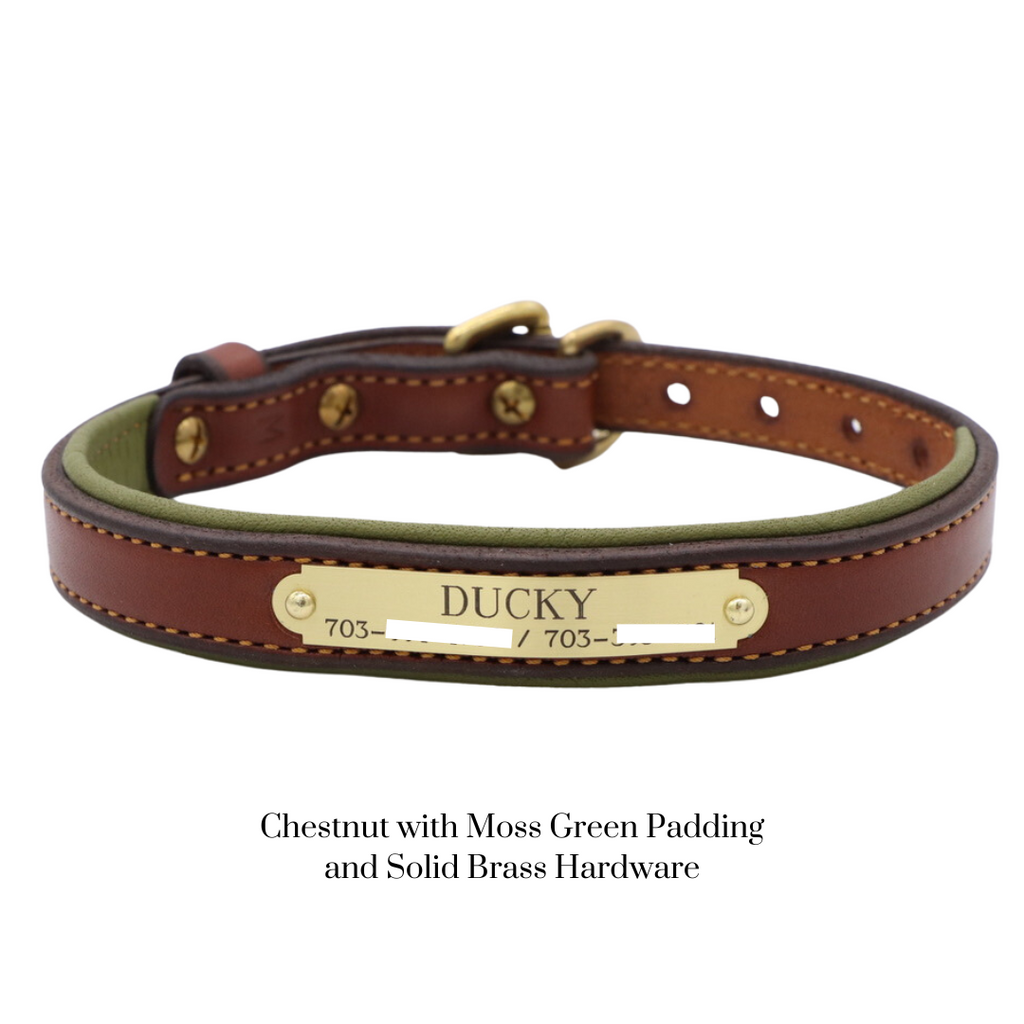 Padded Dog Collar