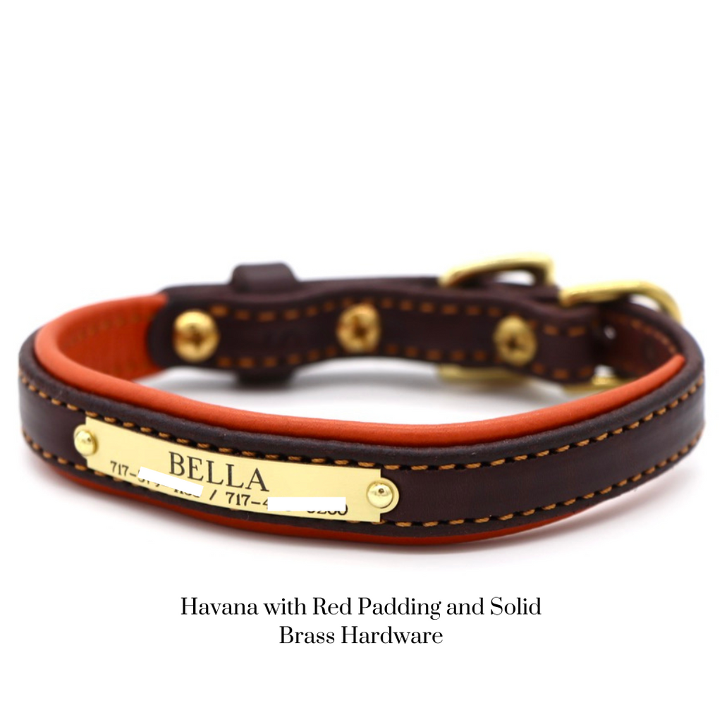 Padded Dog Collar