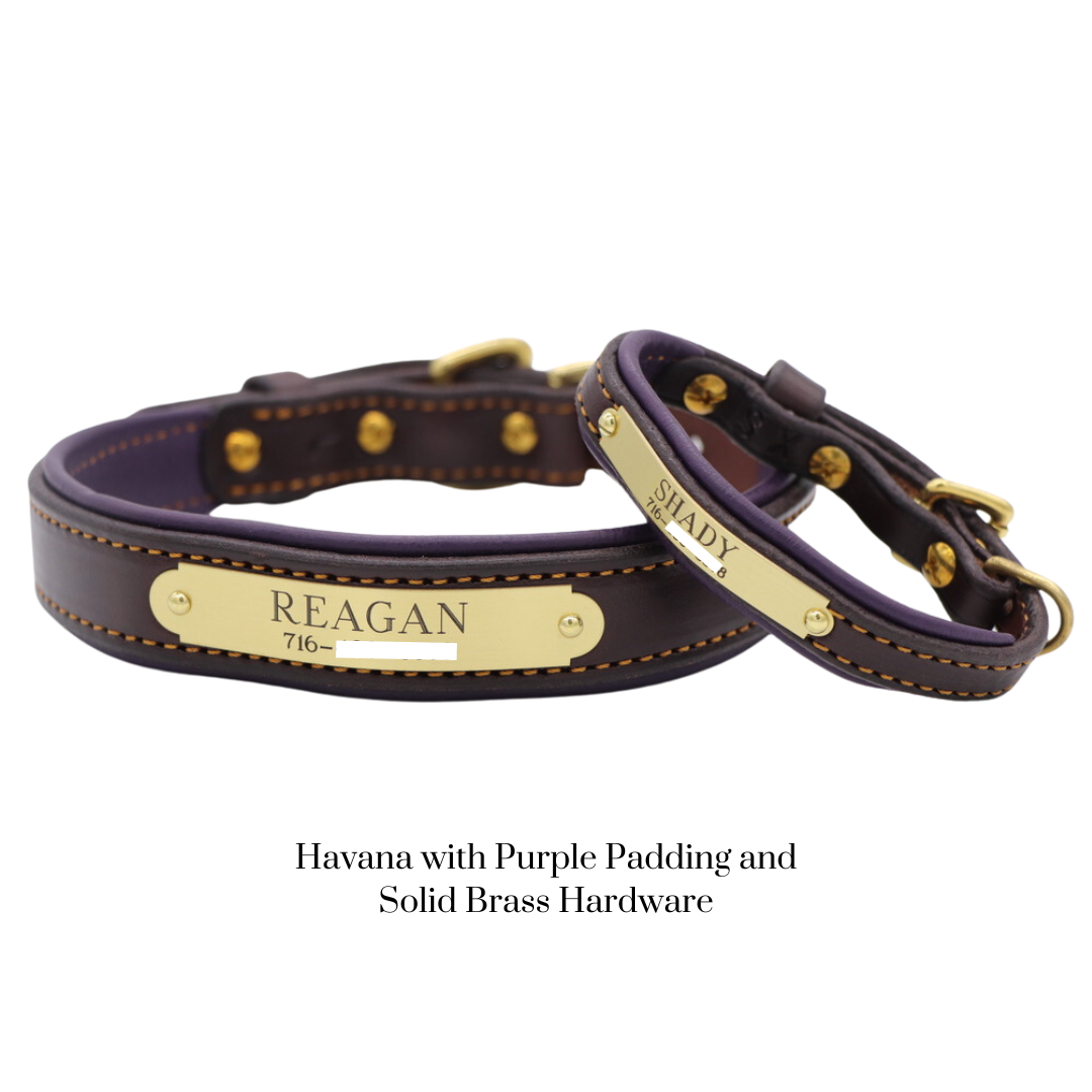 Padded Dog Collar