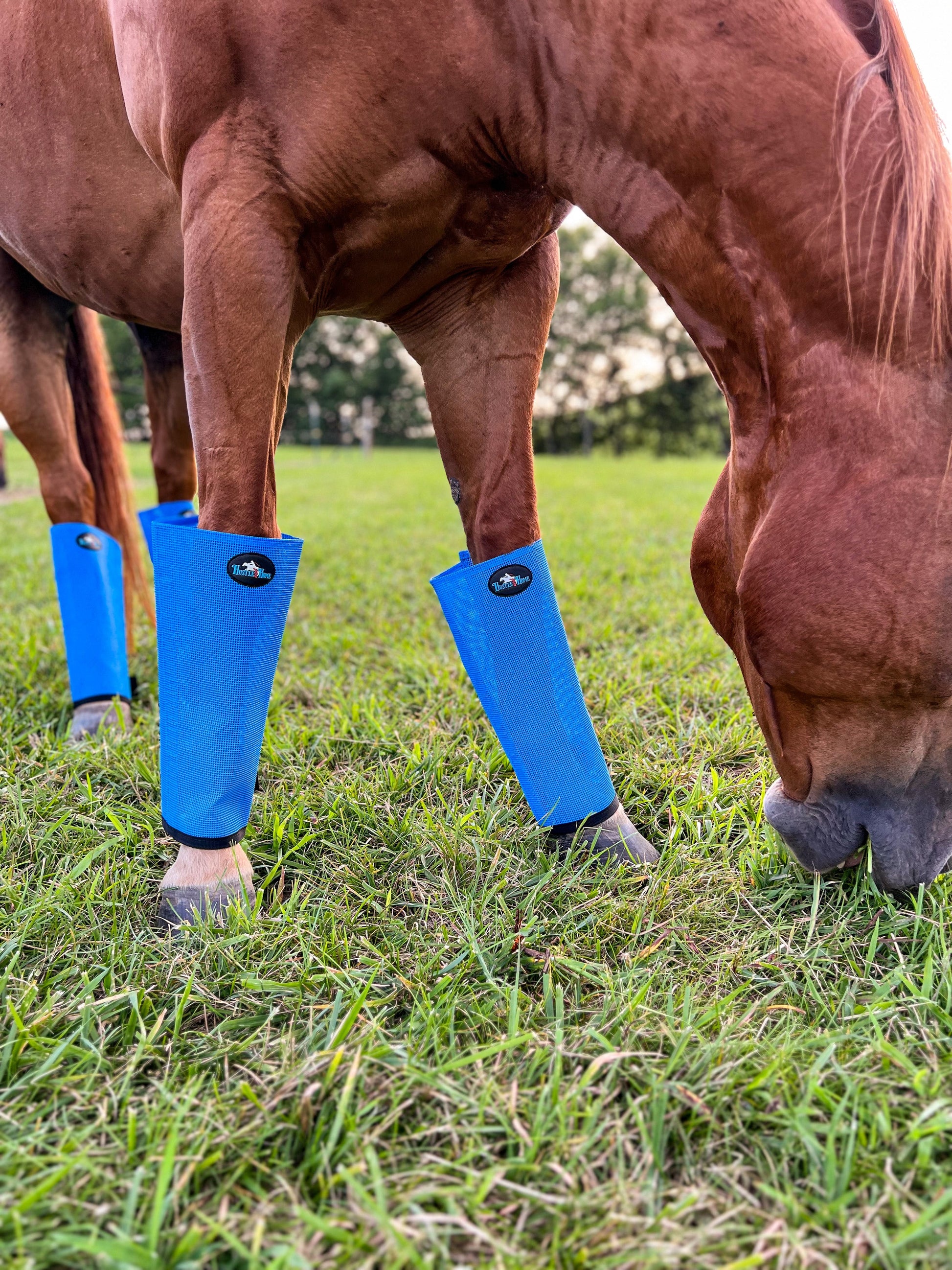 Ocean Blue Fly Boots