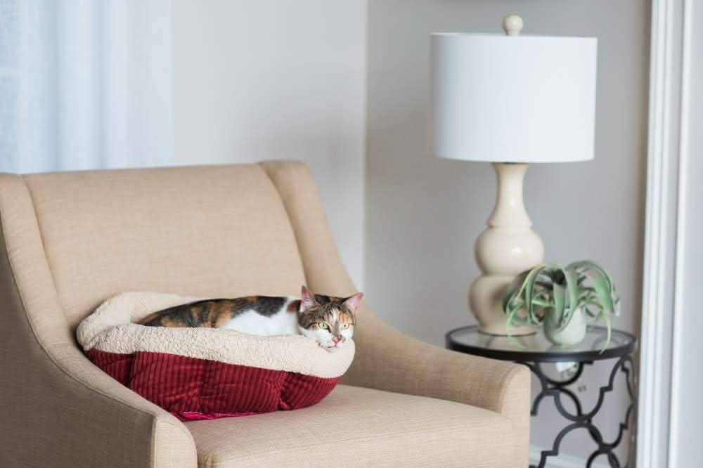 Petmate Aspen Self Warming Bed 19"