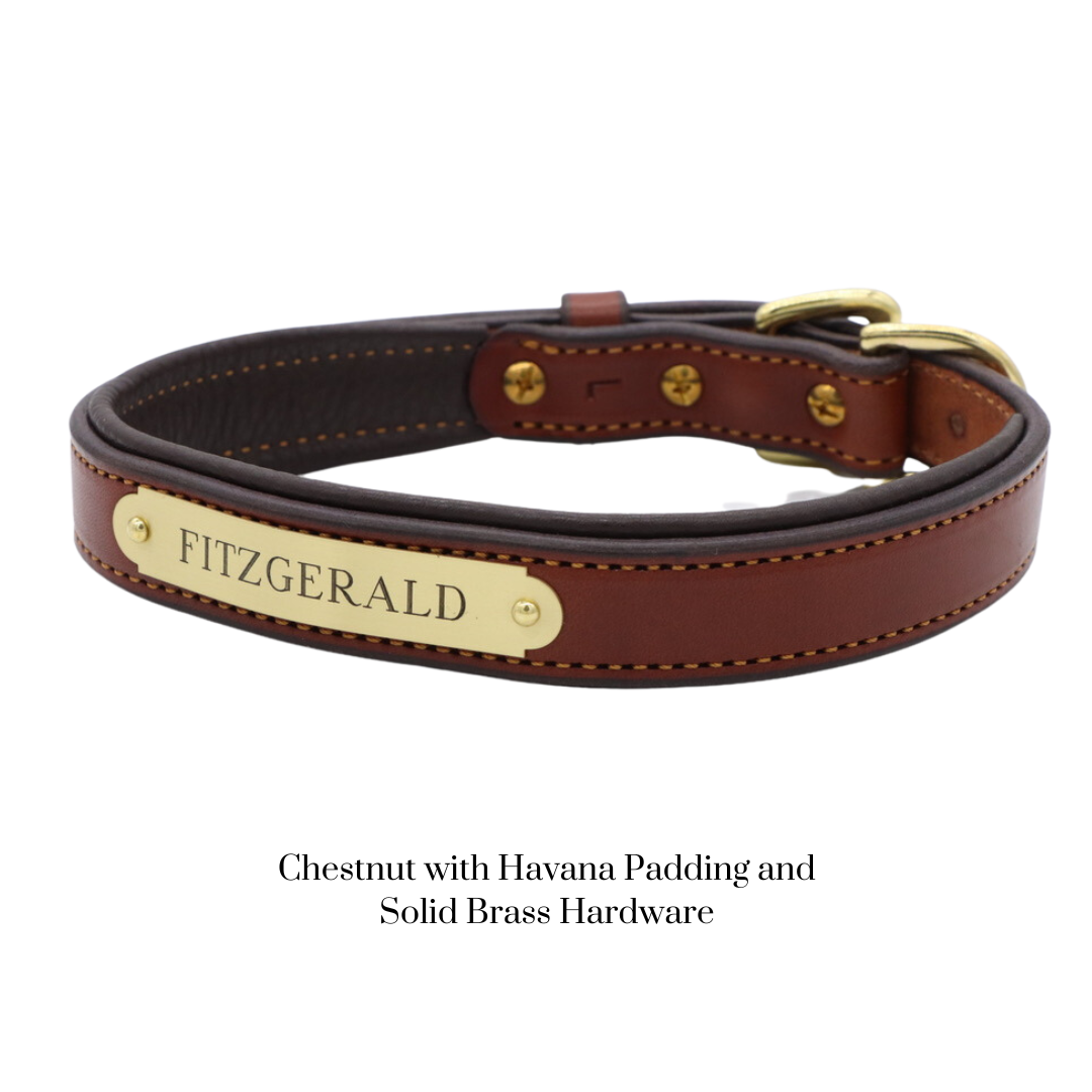 Padded Dog Collar