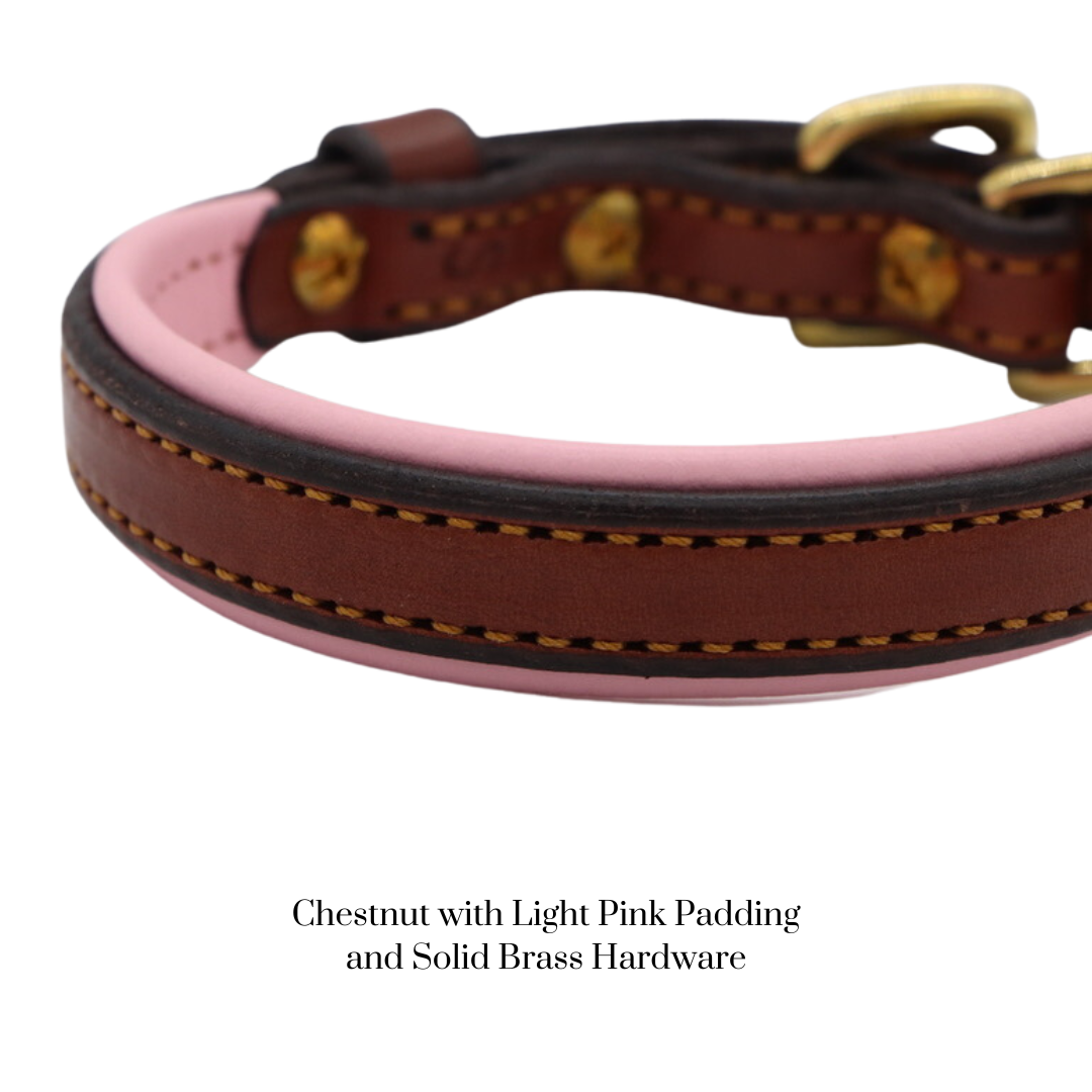 Padded Dog Collar