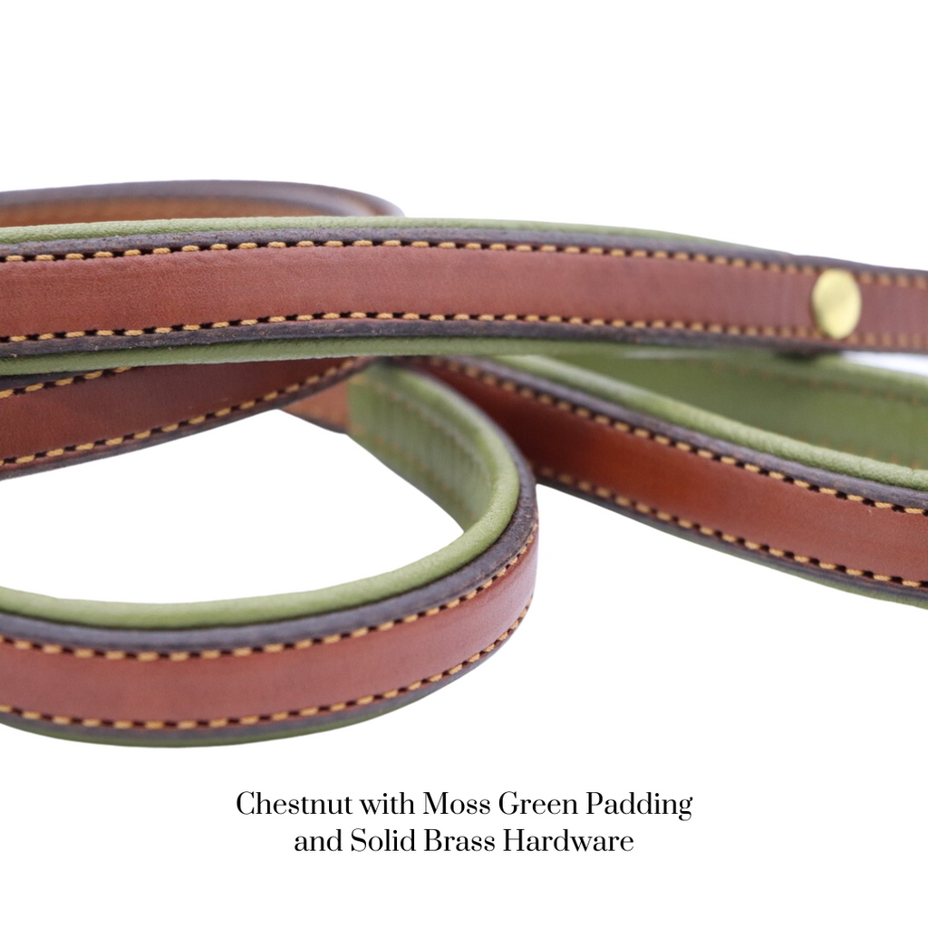 Padded Dog Collar
