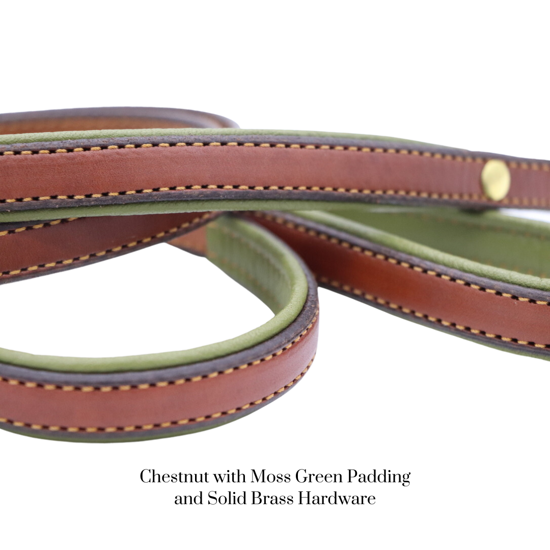 Padded Dog Collar