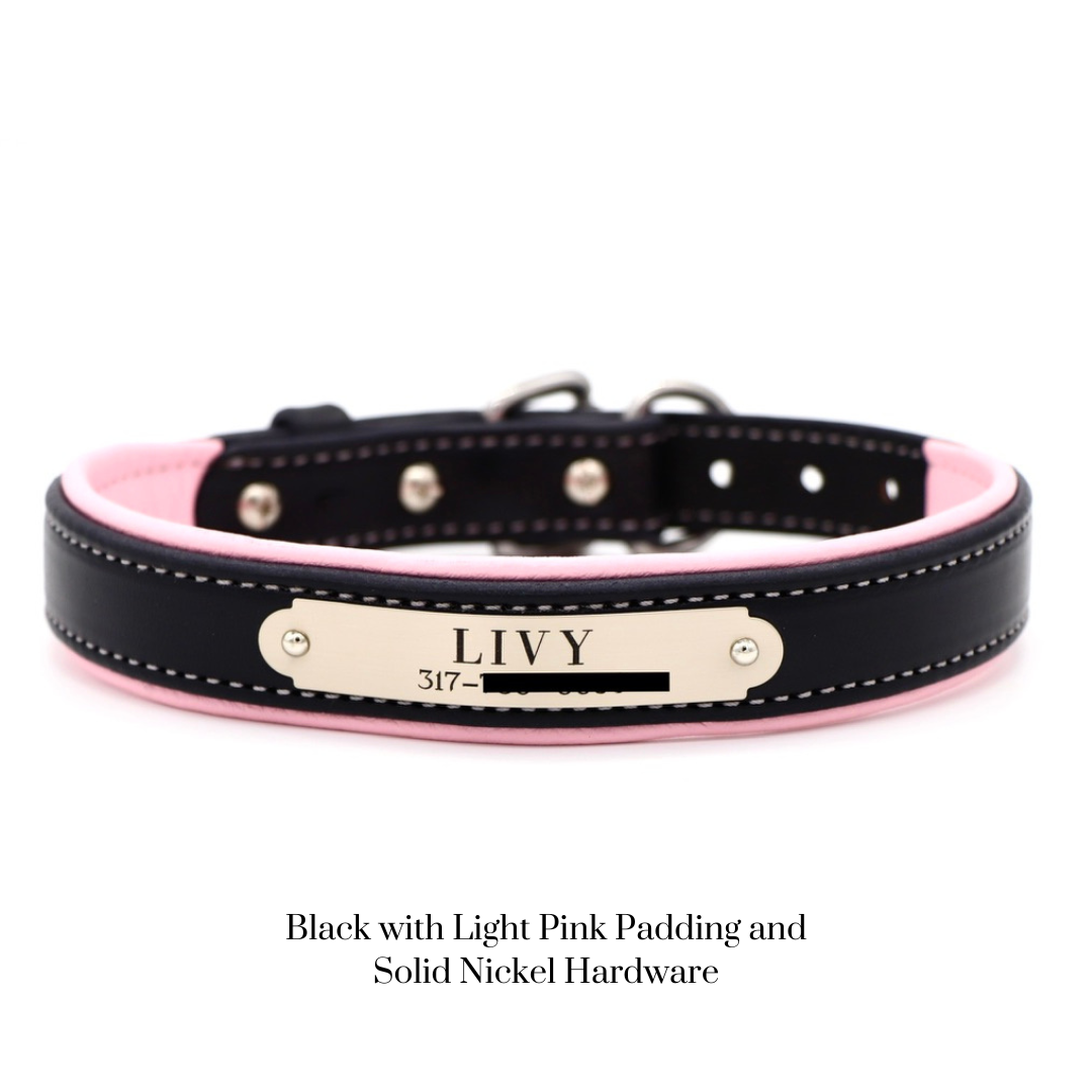 Padded Dog Collar