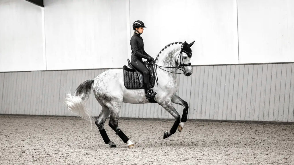 LeMieux Loire Classic Dressage Square